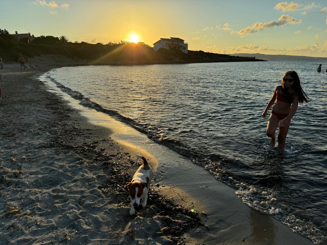 Sotto Torre Beach-Calasetta必去景点