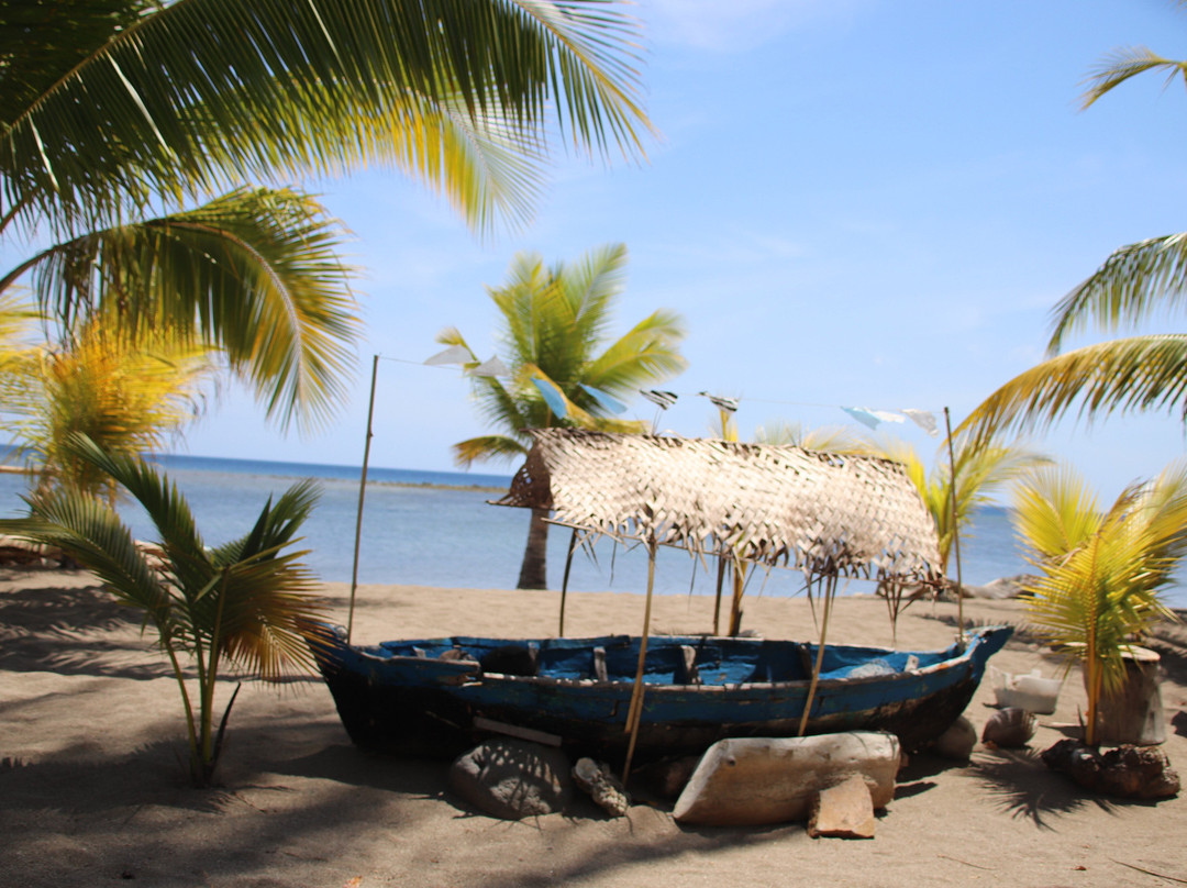 Coconut Garden Beach Resort主图