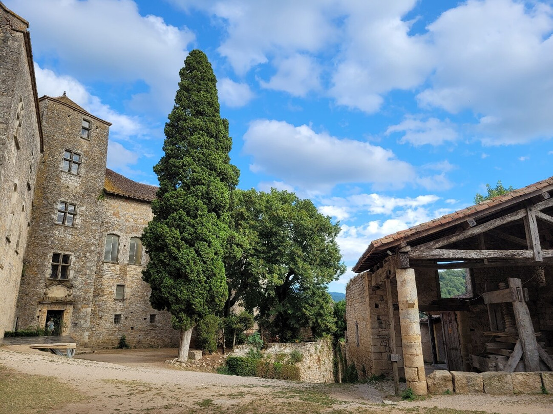 Les Châteaux de Bruniquel景点图片