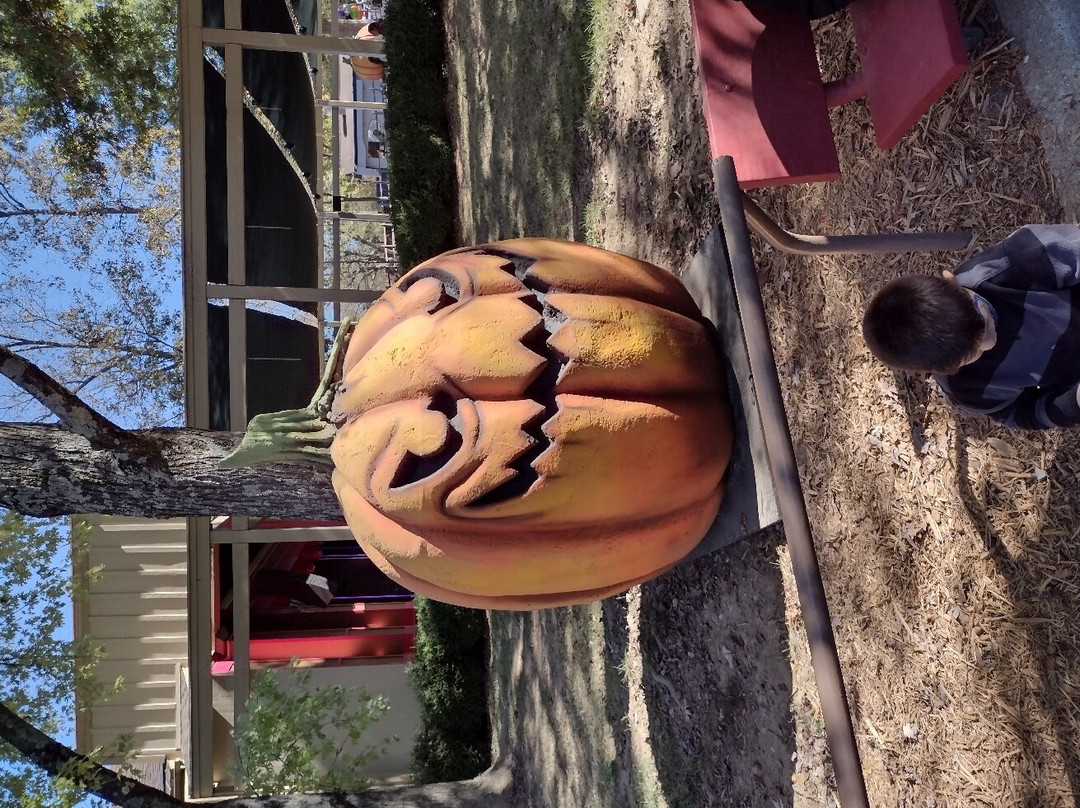 贾斯珀希尔顿恒庭酒店主图