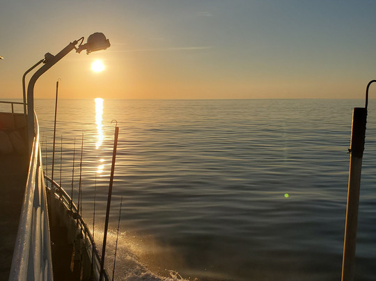 Yankee Fleet - Day Trips-格洛斯特必去景点