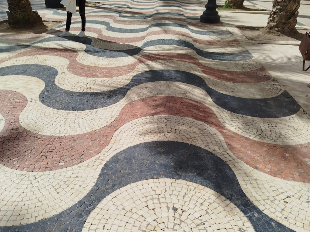 Alicante Tram景点图片