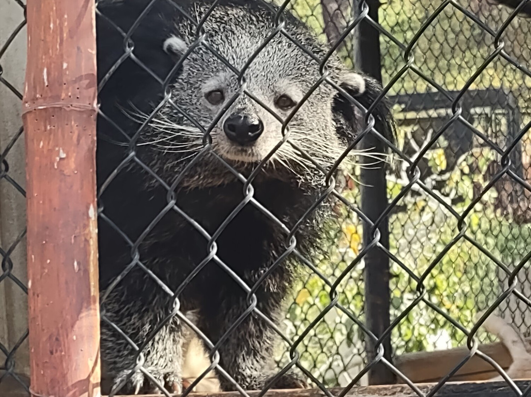 Wild Wonders, Inc.-Bonsall必去景点