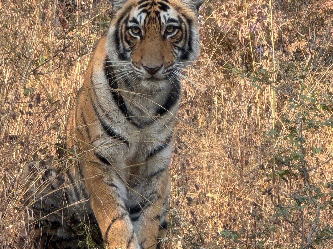 Rifa Tours India - Private Day Tour景点图片