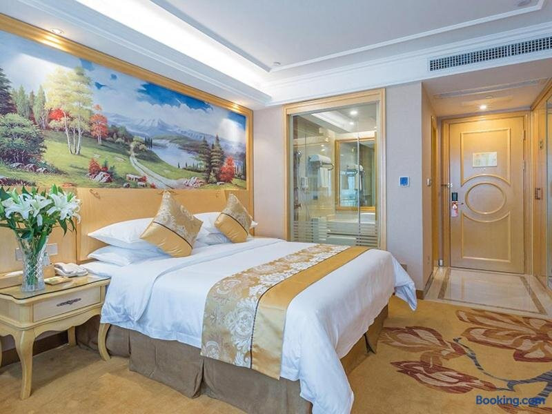 南宁维也纳酒店南湖公园店主图