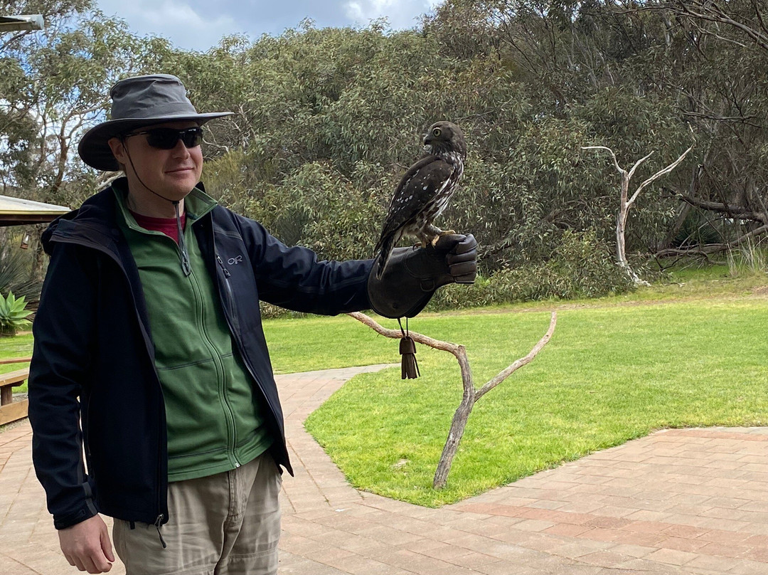 Raptor Domain-Seal Bay必去景点
