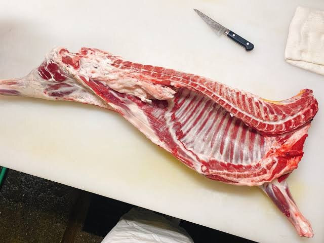 炭焼きジンギスカンいし田札幌本店