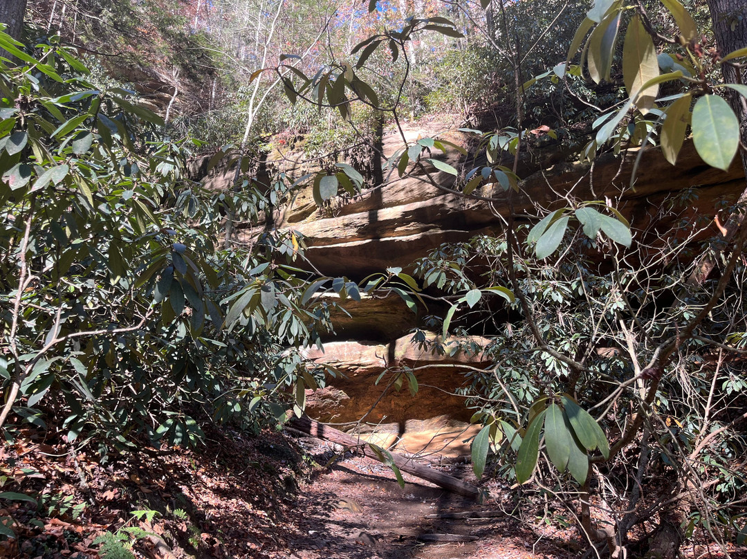 Rock Bridge Trail #207-Slade必去景点