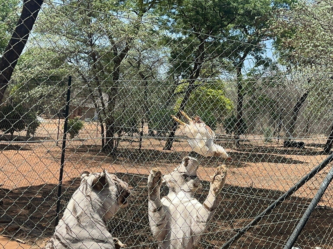 Kudu's Rus Game Lodge and Predator Park-鲁斯登堡必去景点