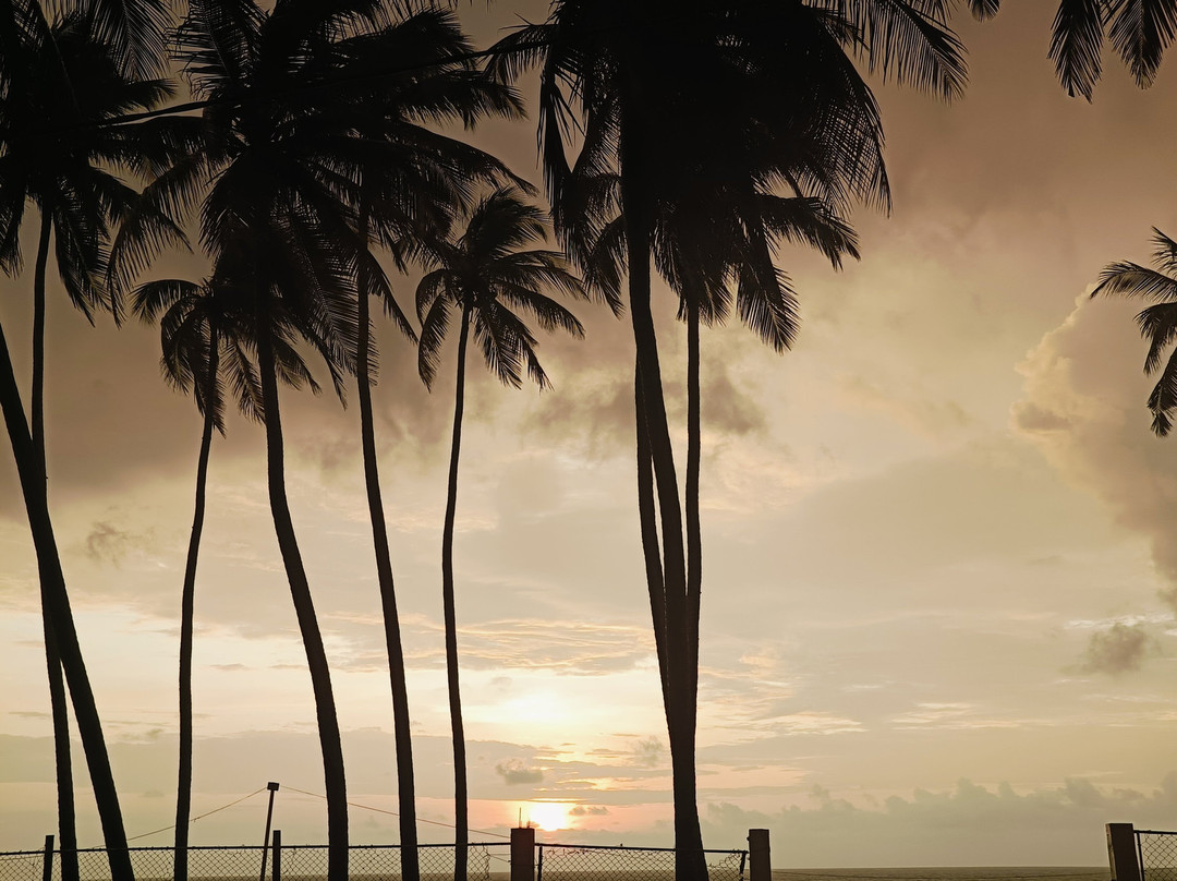 Carolina Beach Resort & Spa主图