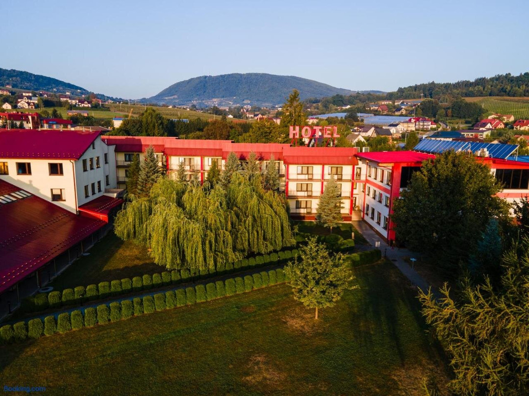 Hotel Litwinski