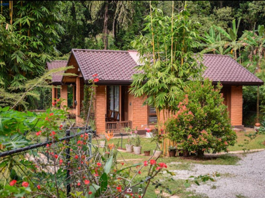 Mangi's Tranquil Bungalows