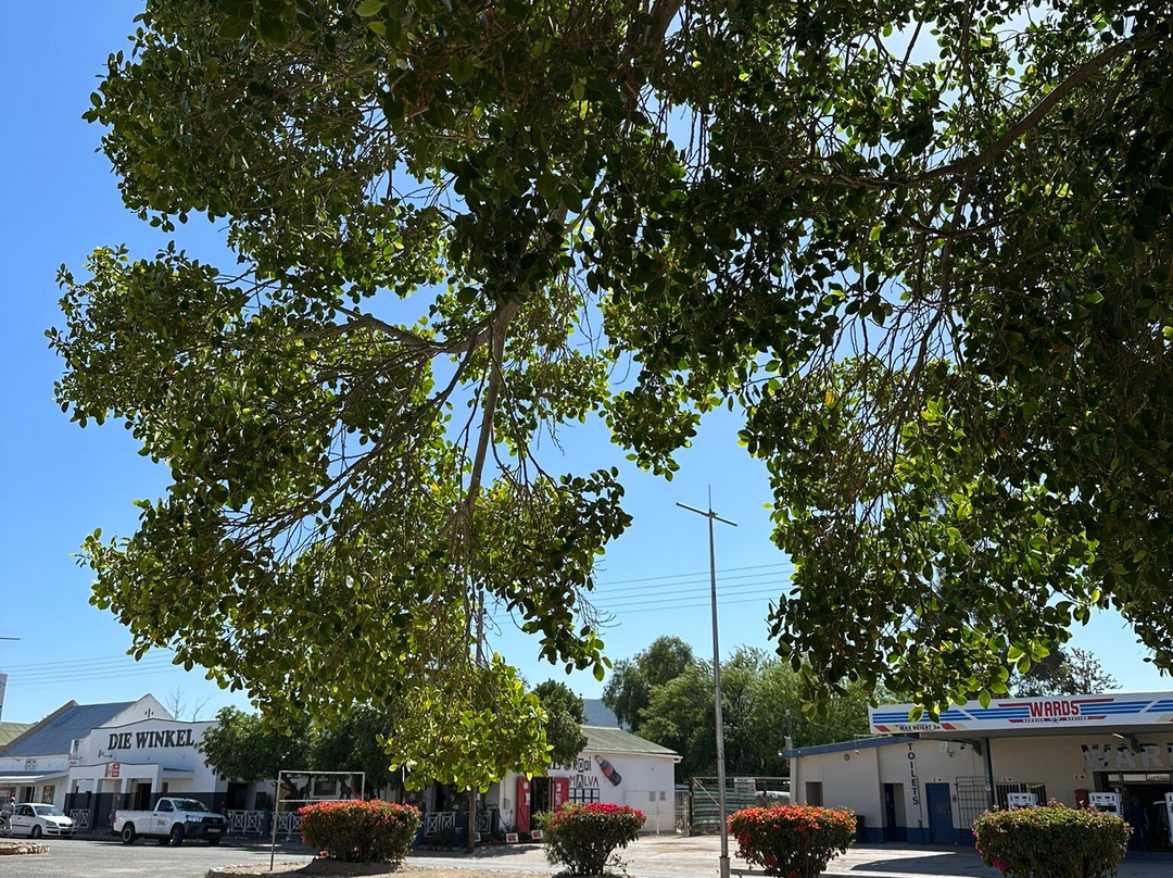 Royal Hotel Steytlerville主图