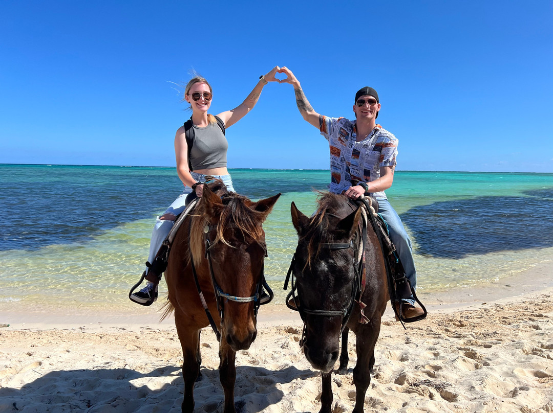Cayman Horse Riding景点图片