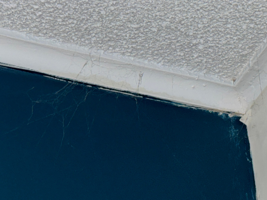 The Wandlyn Inn主图