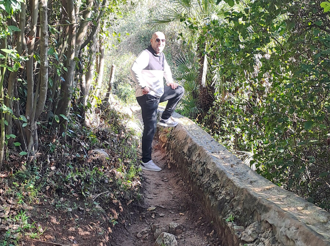 Parque Natural de la Murta景点图片