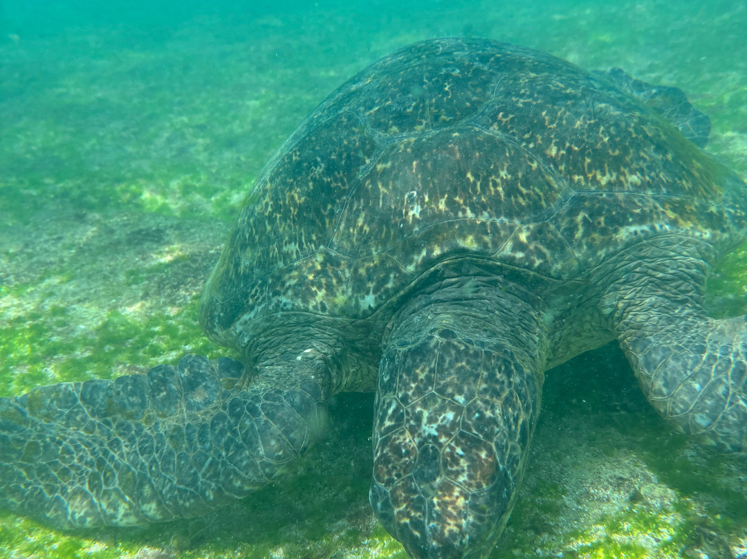 Islanders Galapagos Tour Agency and Operator-Puerto Baquerizo Moreno必去景点