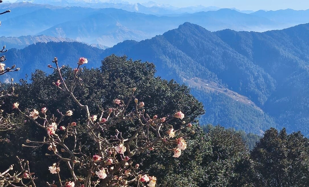 Hatu Peak景点图片