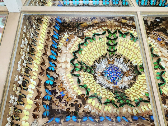 Ayr Nature Display-Ayr必去景点