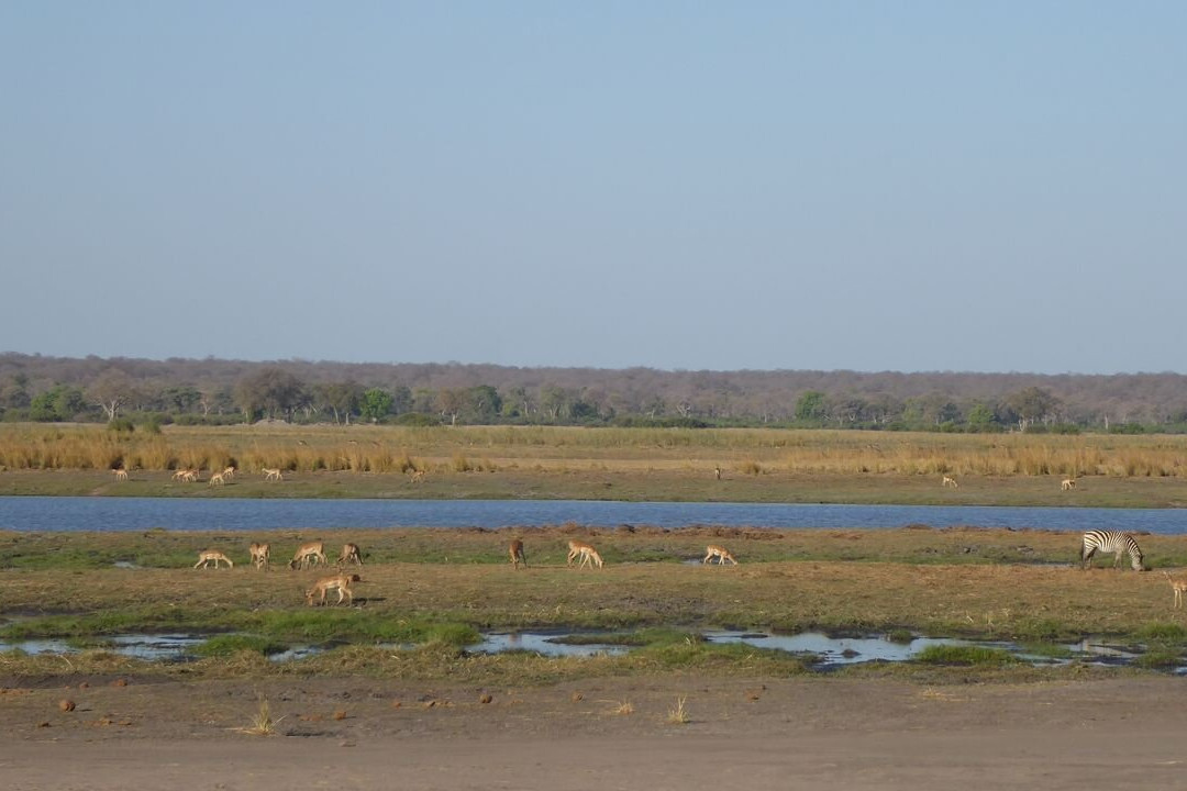 Mahango Game Reserve-奥奇瓦龙戈必去景点