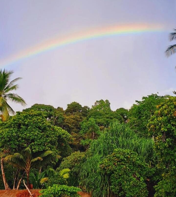 Vista Alta Ecolodge Bahia Drake
