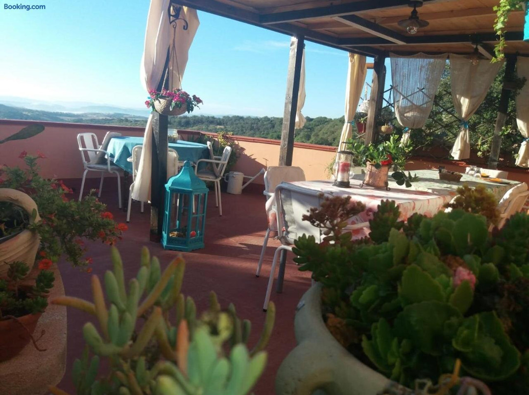 B&B Belli Come il Sole主图