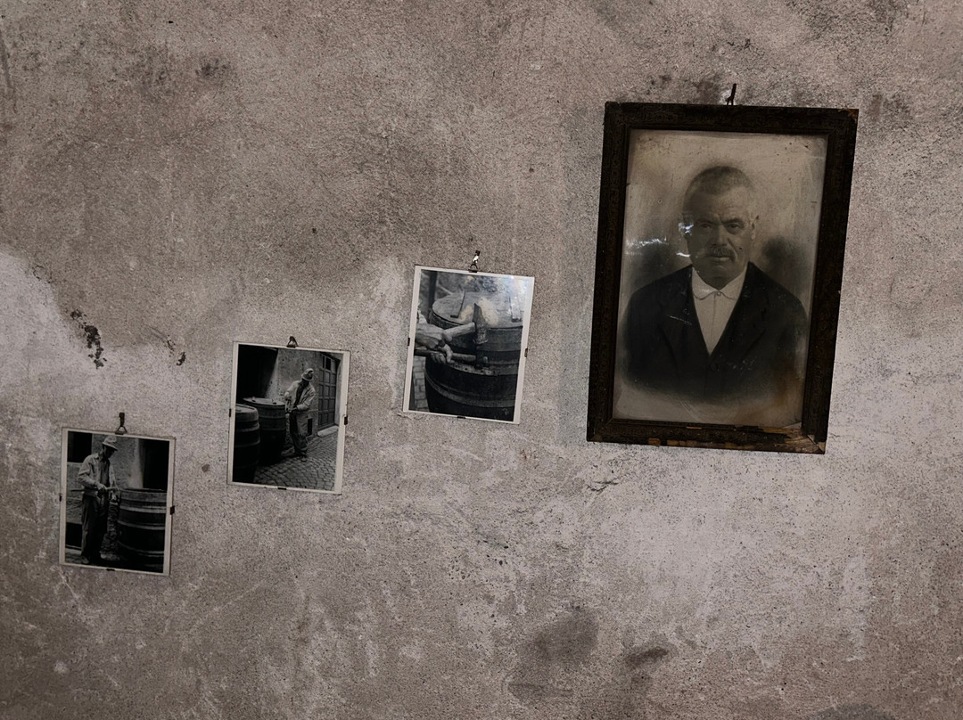 Museo Etnografico Dell`Alta Val Tanaro景点图片