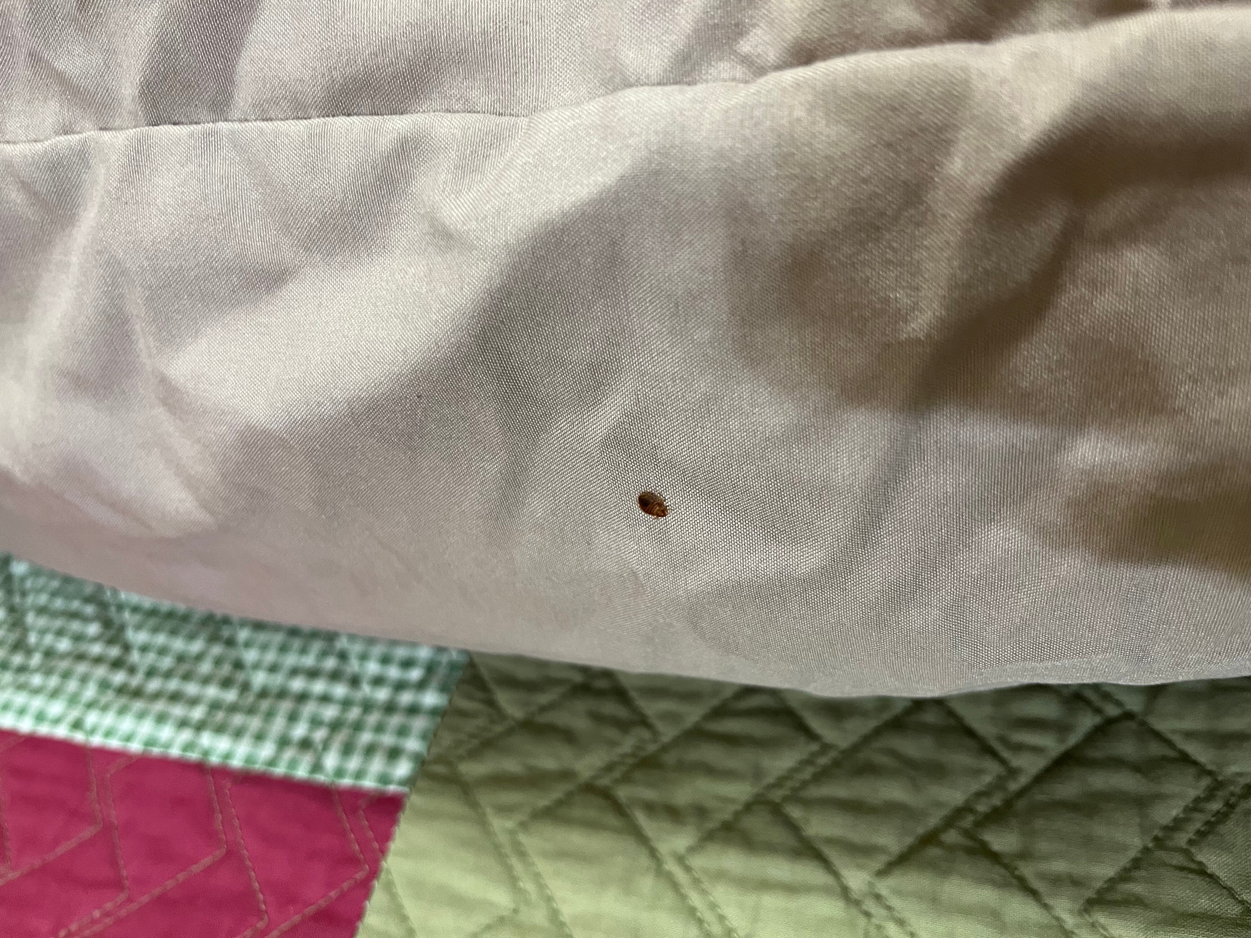 The Inn At Piggott-官方