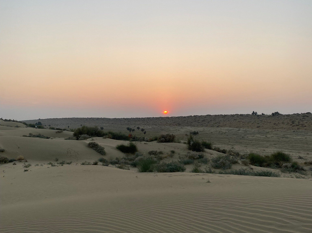 Sahara Travels Day Tours景点图片