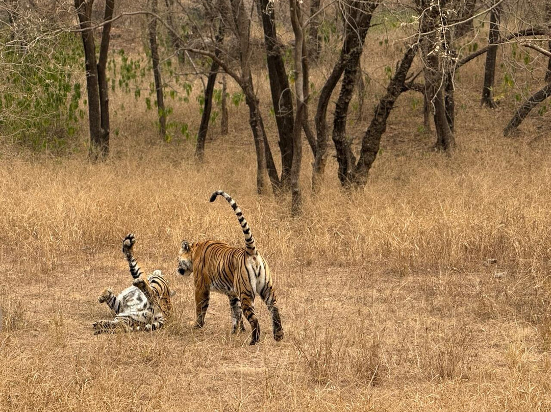 Fragrance of Taj Tours-阿格拉必去景点