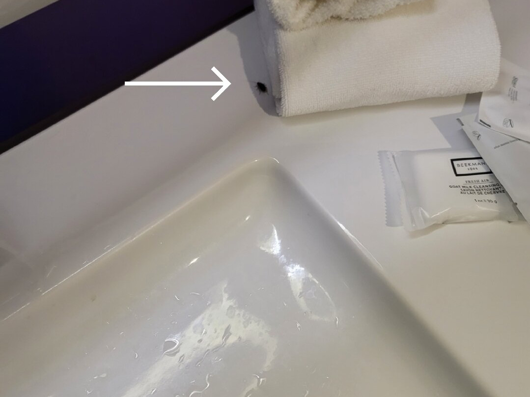 Royal Regency Hotel主图