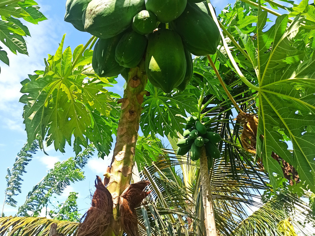 Calypso Sunset Beach Hotel主图