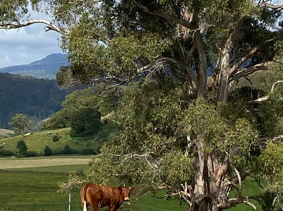 Pub in the Paddock主图