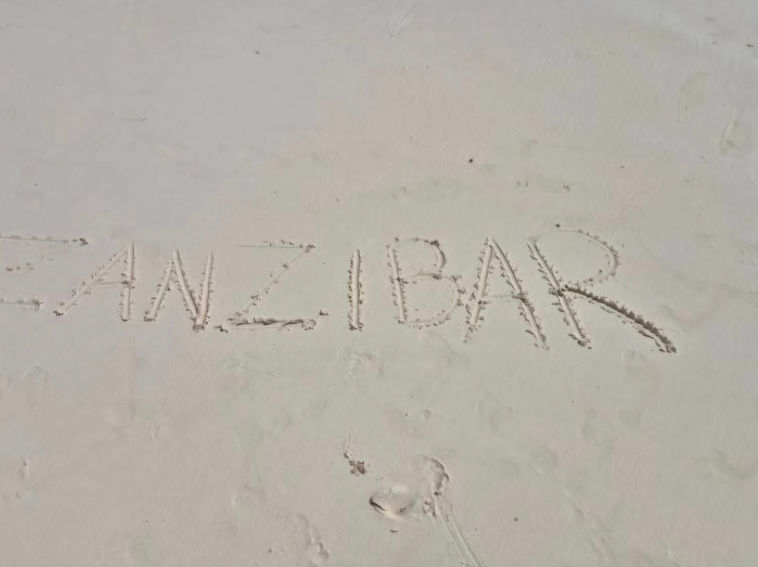 Ameir Tours and Travel-桑给巴尔市必去景点