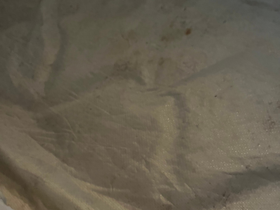 Ecohotel Kocoluu主图