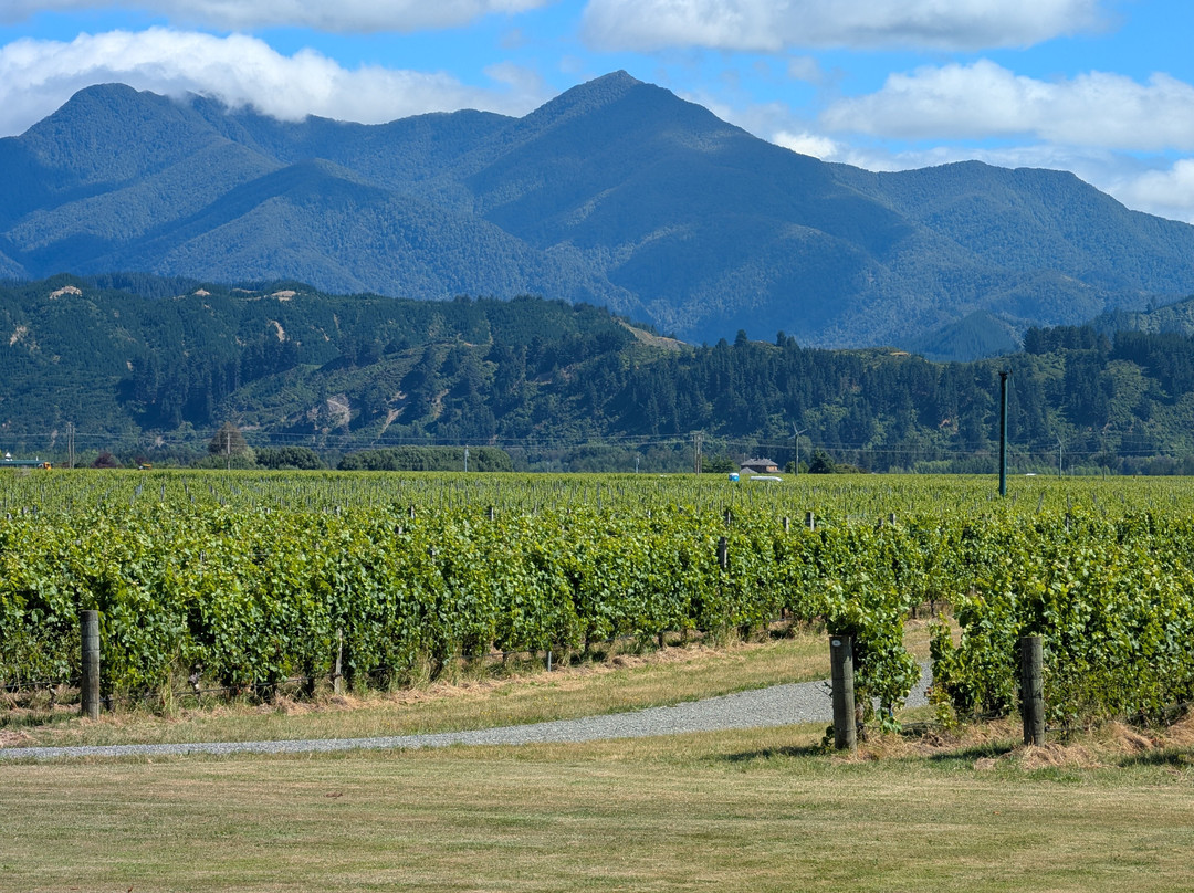 Bubbly Grape Wine Tours-布伦海姆必去景点
