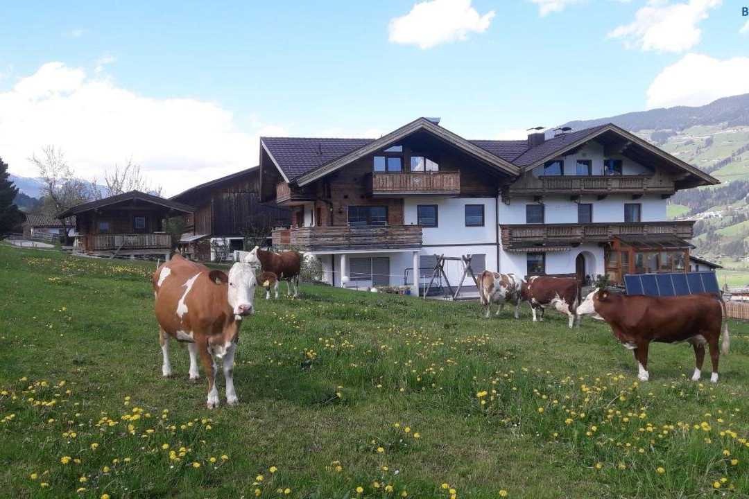 Schorpenhof