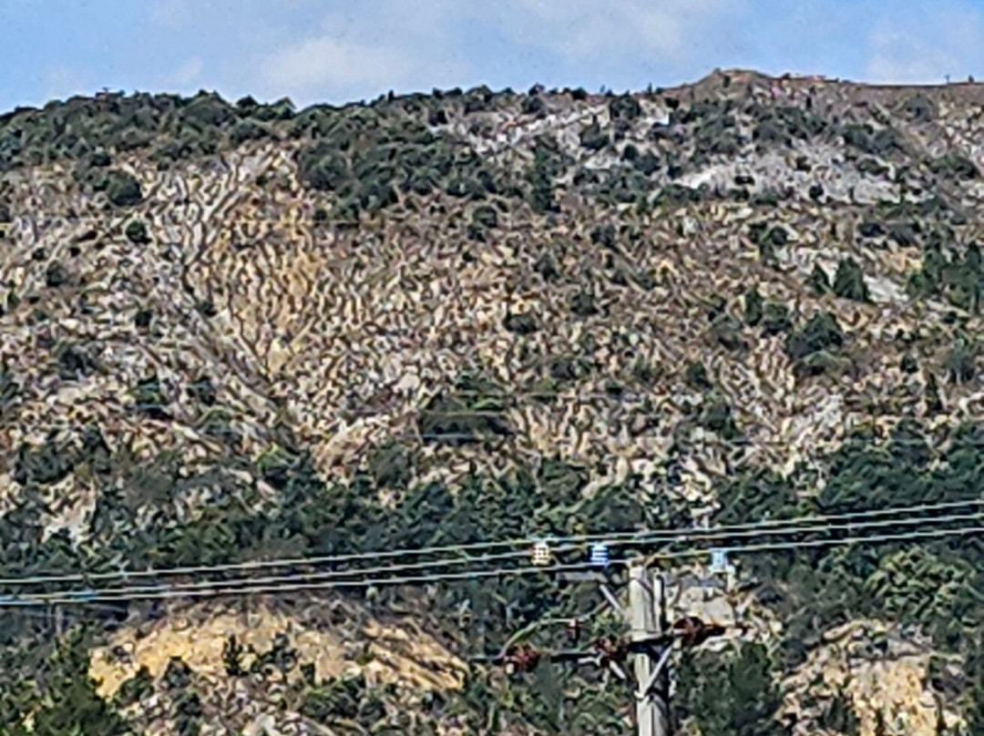 舒适淘金热酒店主图