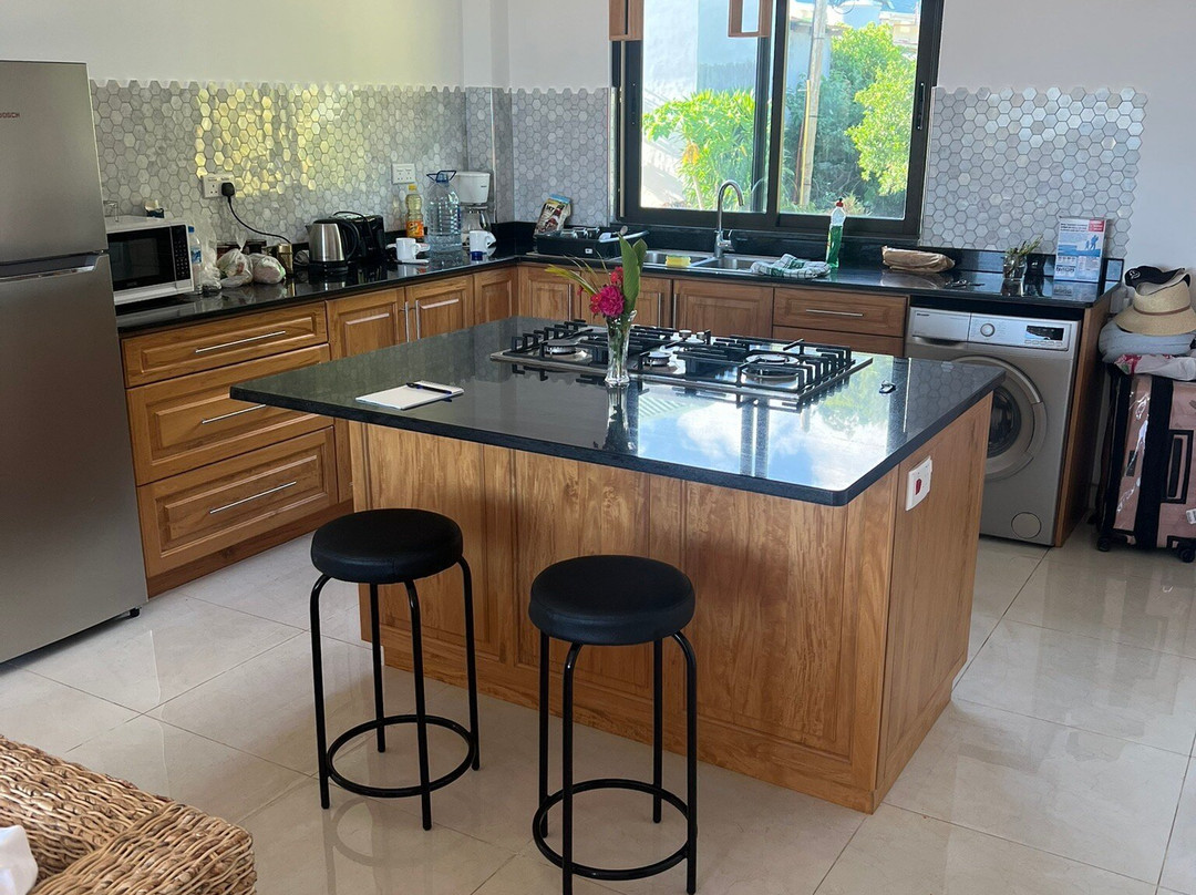 Villa Rousseau主图