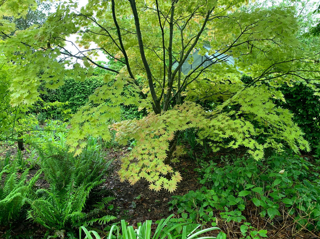 Jardins de Valeriane景点图片