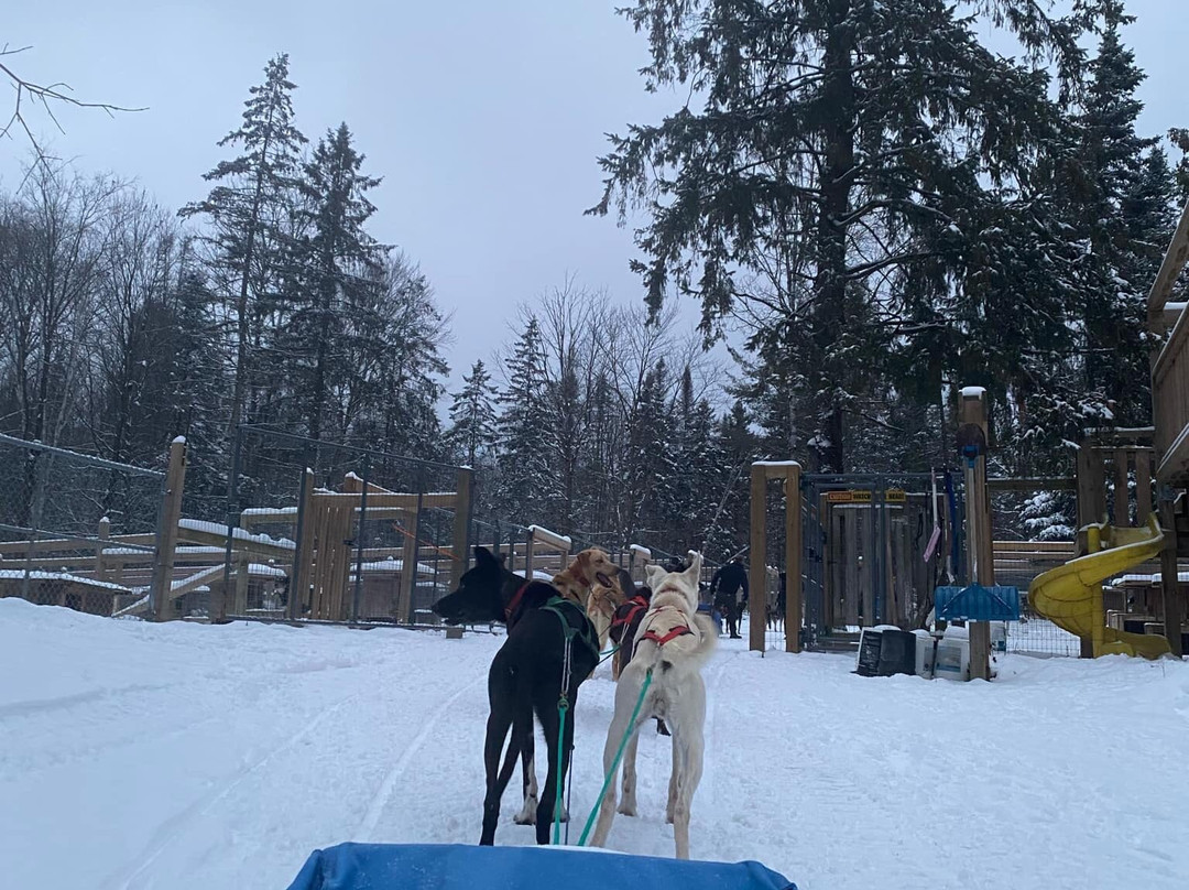 North Ridge Ranch - Dog Sledding景点图片