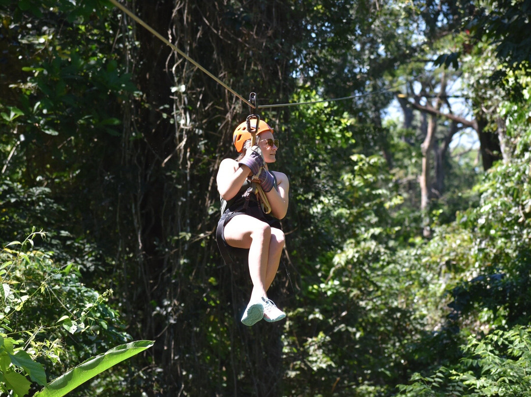Canopy del Pacifico Mal Pais景点图片
