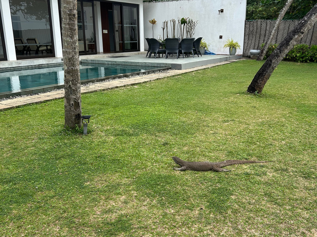 Milan M. Personal Driver Service Sri Lanka-锡吉里亚必去景点