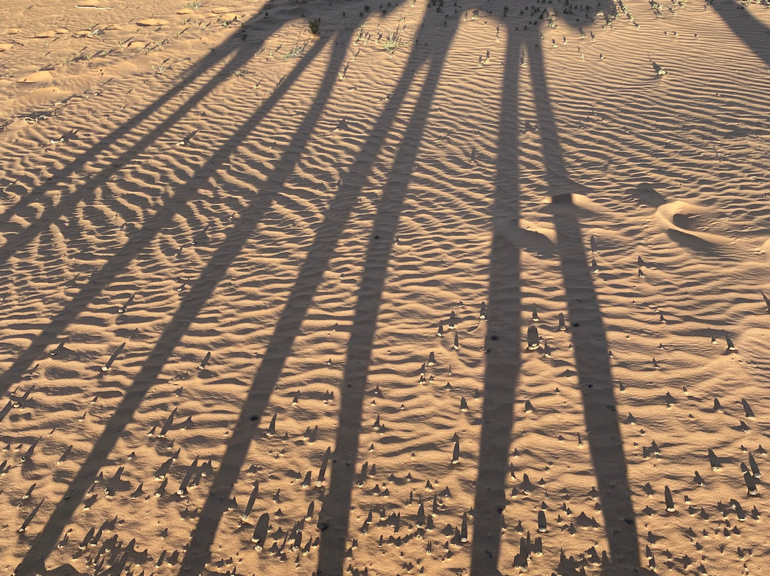 All Morocco Tours-非斯必去景点