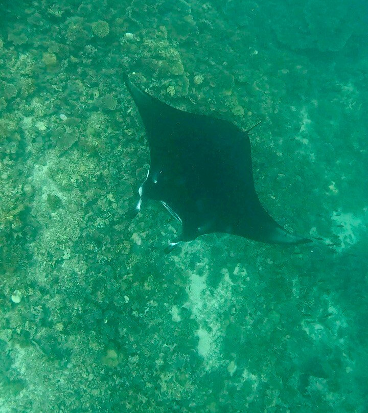 Endheri Dive Center景点图片