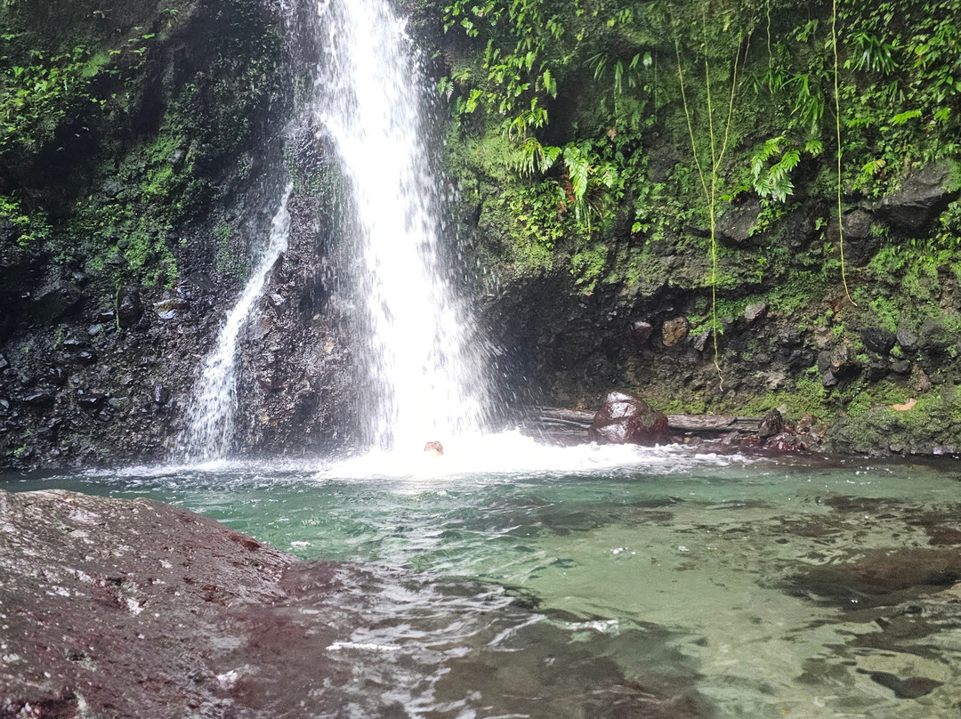 Jacko Falls-Morne Trois Pitons National Park必去景点