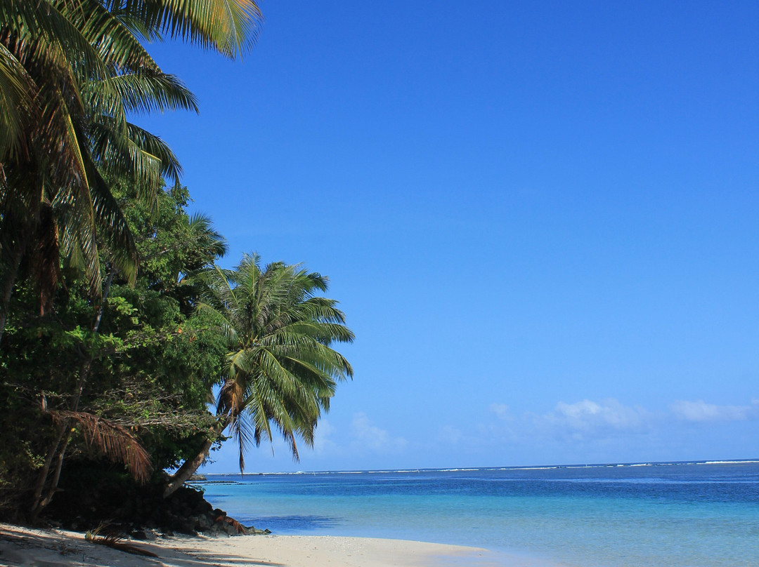 Janes Beach Fales主图