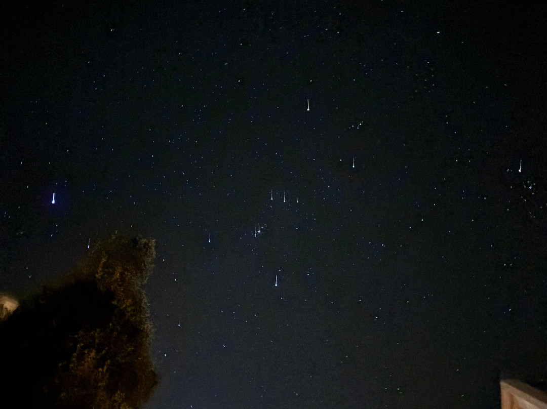 Vatsyayana Resorts主图