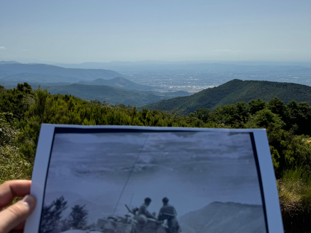Museo Storico della Linea Gotica di Montemurlo-Montemurlo必去景点