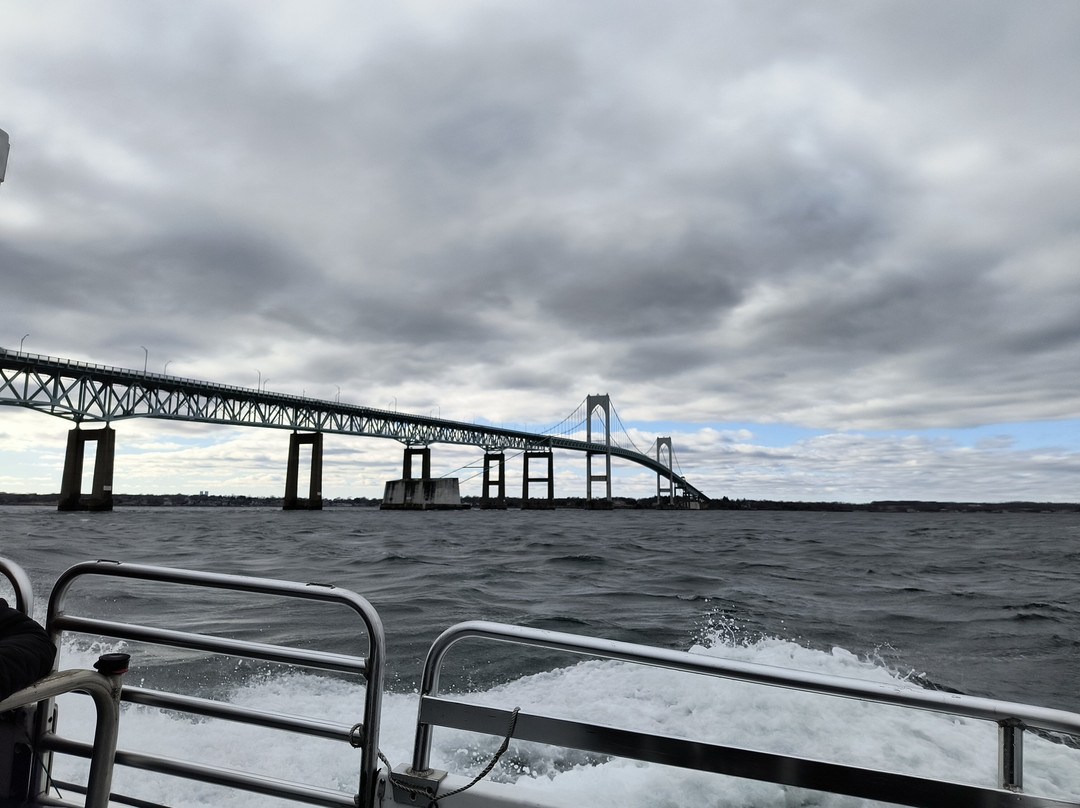 Save The Bay Seal Watch & Nature Cruises-纽波特必去景点